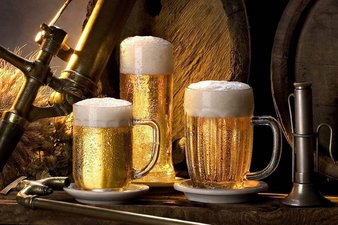Виды бокалов для пива и их особенности
