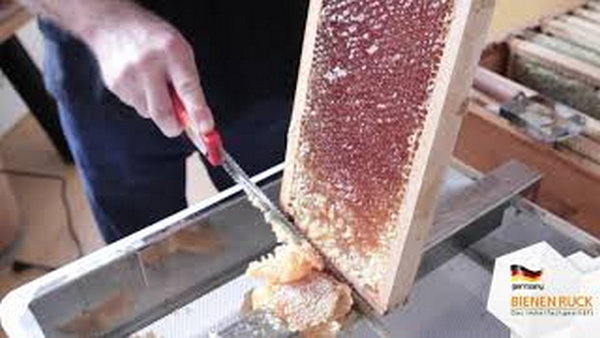 Электронож для пасеки - инструмент облегчающий жизнь пчеловодам