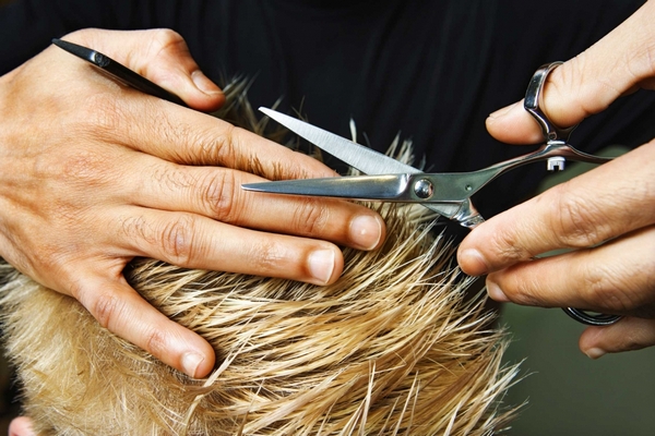 Профессиональные парикмахерские ножницы: виды и особенности выбора